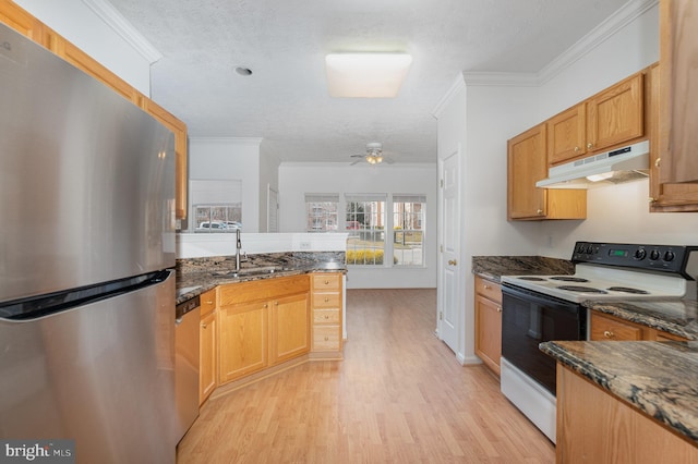 kitchen featuring crown molding, appliances with stainless steel finishes, sink, and light wood-type flooring