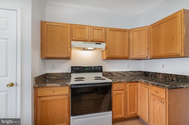 kitchen featuring electric stove, ornamental molding, and dark stone countertops