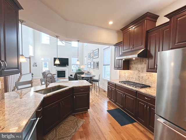 kitchen with stainless steel appliances, sink, dark brown cabinetry, and light hardwood / wood-style flooring