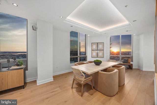 dining space featuring light hardwood / wood-style flooring and a tray ceiling