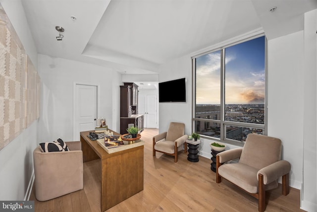 living room with light wood-type flooring