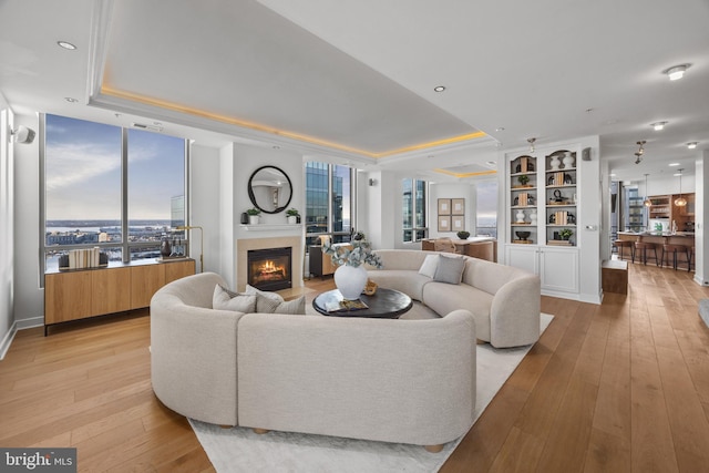 living room featuring a tray ceiling and light hardwood / wood-style flooring