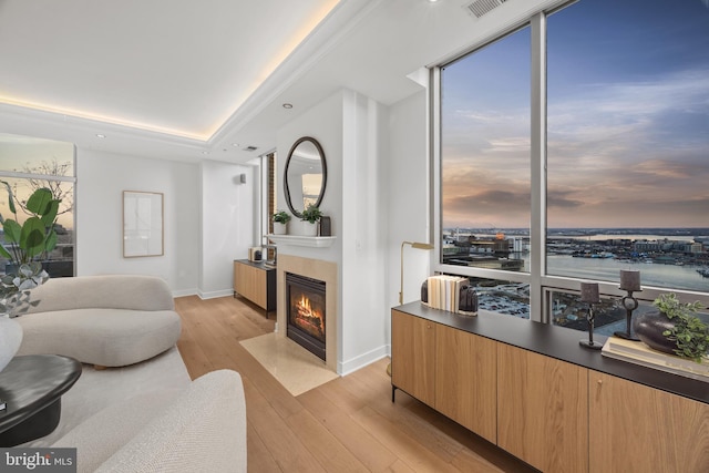 living room with a tray ceiling and light hardwood / wood-style floors