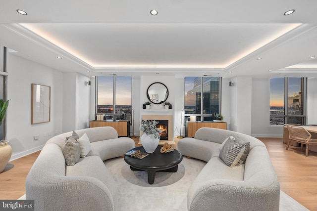 living room featuring a tray ceiling and light hardwood / wood-style flooring