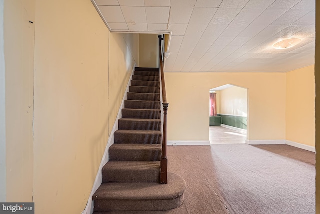 staircase with carpet