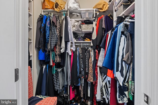 view of spacious closet