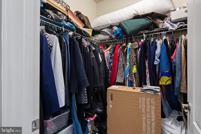 view of walk in closet