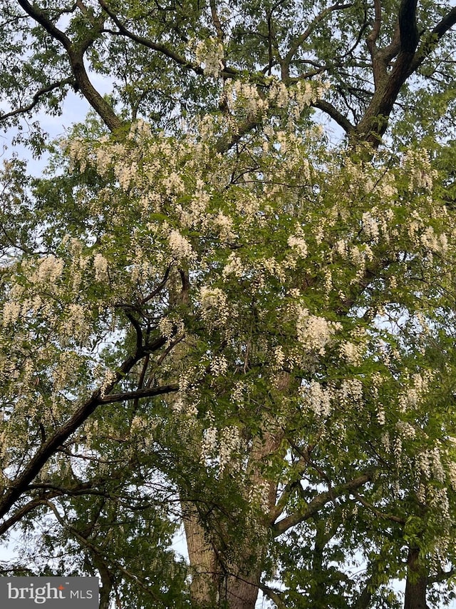 view of nature