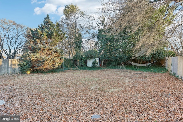 view of yard featuring a shed