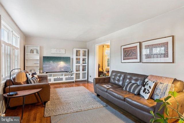 living room with hardwood / wood-style floors