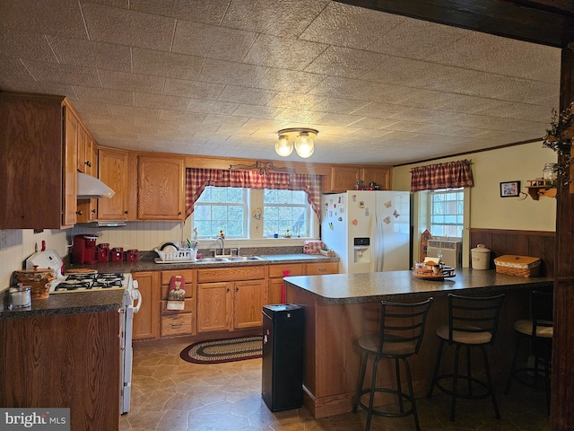 kitchen featuring under cabinet range hood, white appliances, a sink, a healthy amount of sunlight, and dark countertops