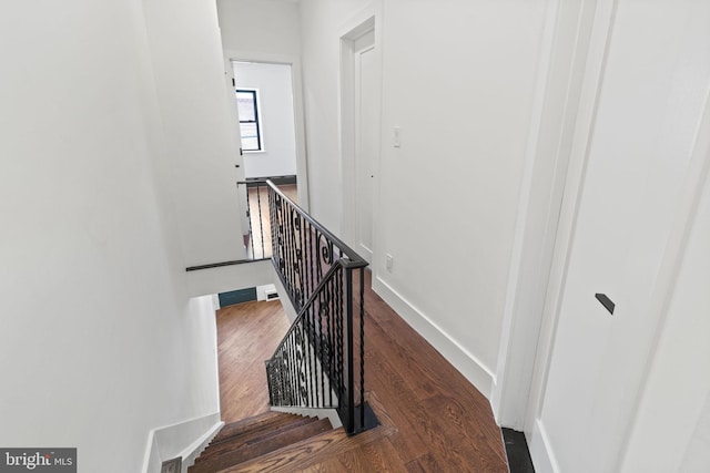 staircase featuring hardwood / wood-style flooring