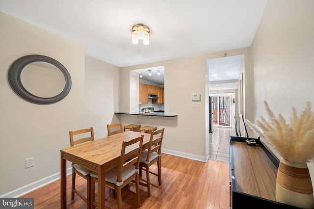 dining room with light hardwood / wood-style flooring