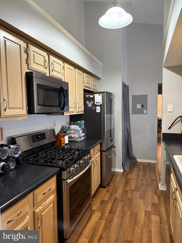 kitchen featuring stainless steel appliances, light brown cabinetry, electric panel, and dark hardwood / wood-style flooring