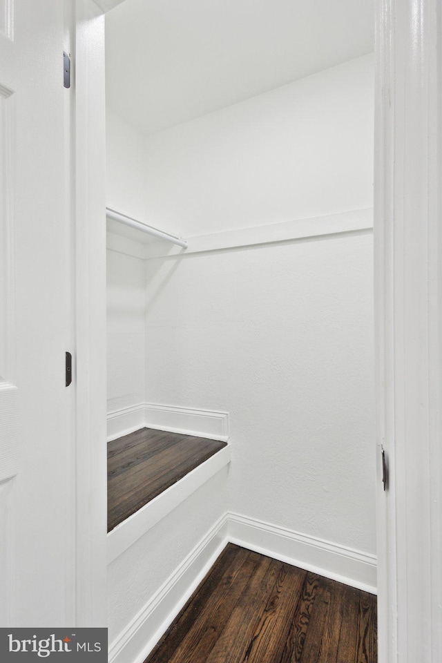 spacious closet featuring dark wood finished floors