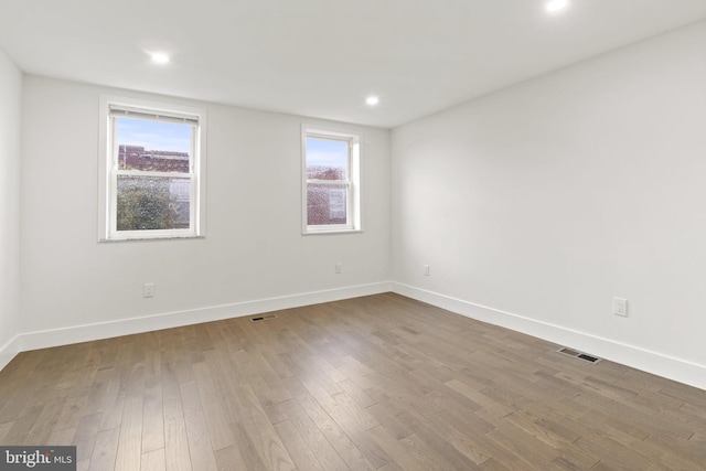 empty room featuring a wealth of natural light and wood-type flooring