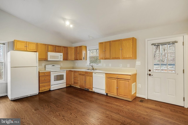 kitchen with sink, white appliances, vaulted ceiling, and dark hardwood / wood-style floors