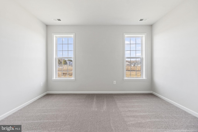 unfurnished room featuring carpet and a wealth of natural light