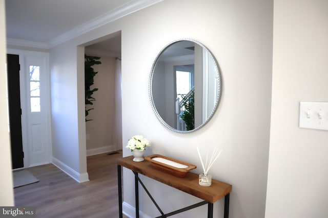 foyer entrance featuring hardwood / wood-style flooring and ornamental molding