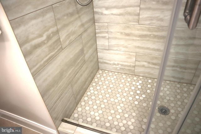 interior details with walk in shower