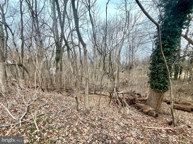 51 Ark Rd, Lothian, MD 20711