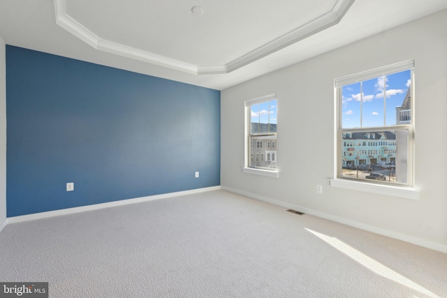 empty room with a tray ceiling and carpet floors