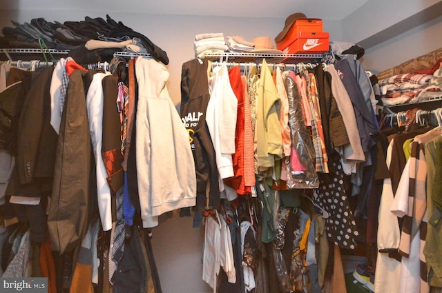 view of walk in closet