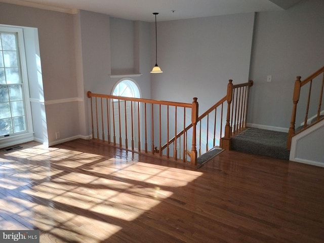 stairs featuring wood-type flooring and a healthy amount of sunlight