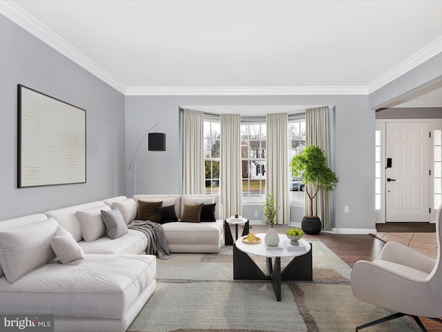 living room with ornamental molding and light wood-type flooring