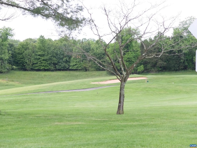 view of community featuring a lawn