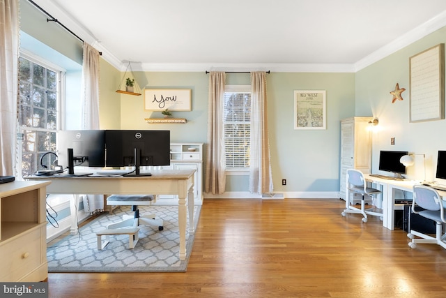 office featuring ornamental molding, wood-type flooring, and plenty of natural light