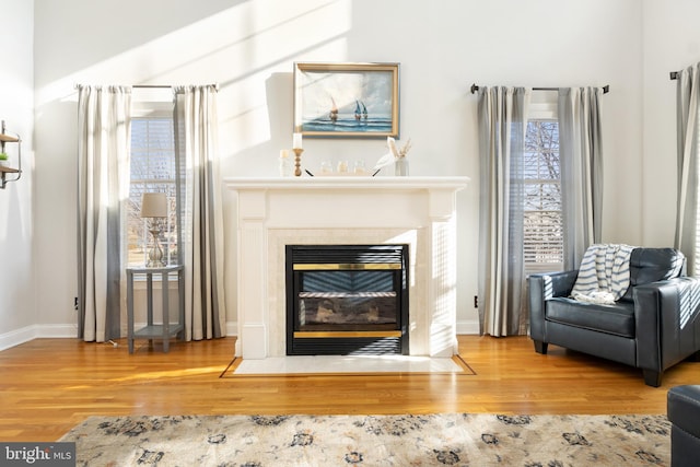 sitting room with hardwood / wood-style flooring