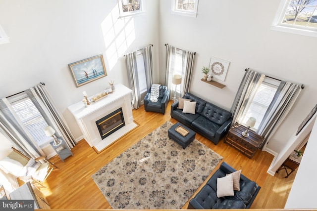 living room featuring hardwood / wood-style flooring and a high ceiling