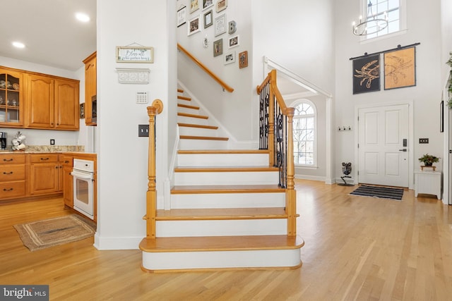 foyer featuring a high ceiling and light hardwood / wood-style floors