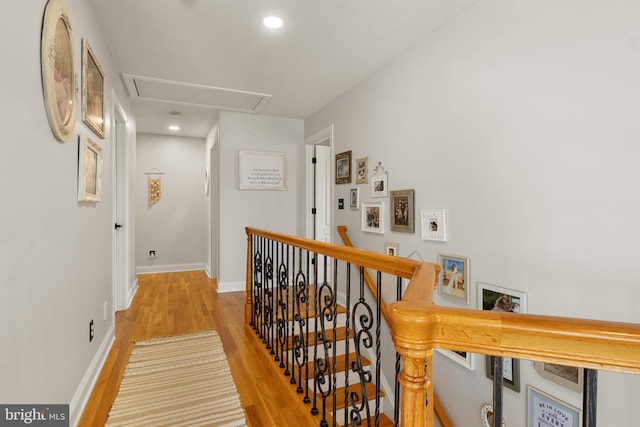 hall with light hardwood / wood-style flooring