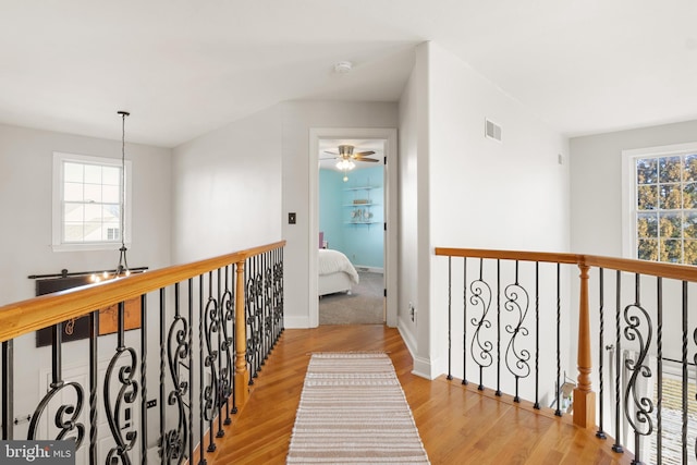 corridor featuring light hardwood / wood-style flooring and a wealth of natural light