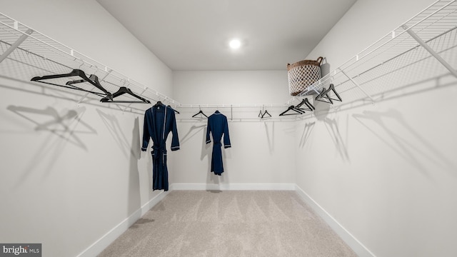 walk in closet with carpet floors