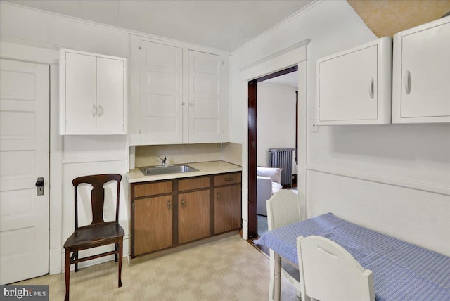 kitchen with white cabinetry, ornamental molding, radiator, and sink