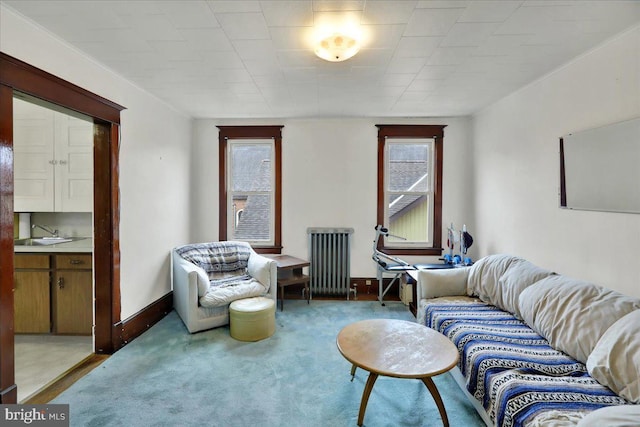 carpeted living room featuring radiator heating unit and sink