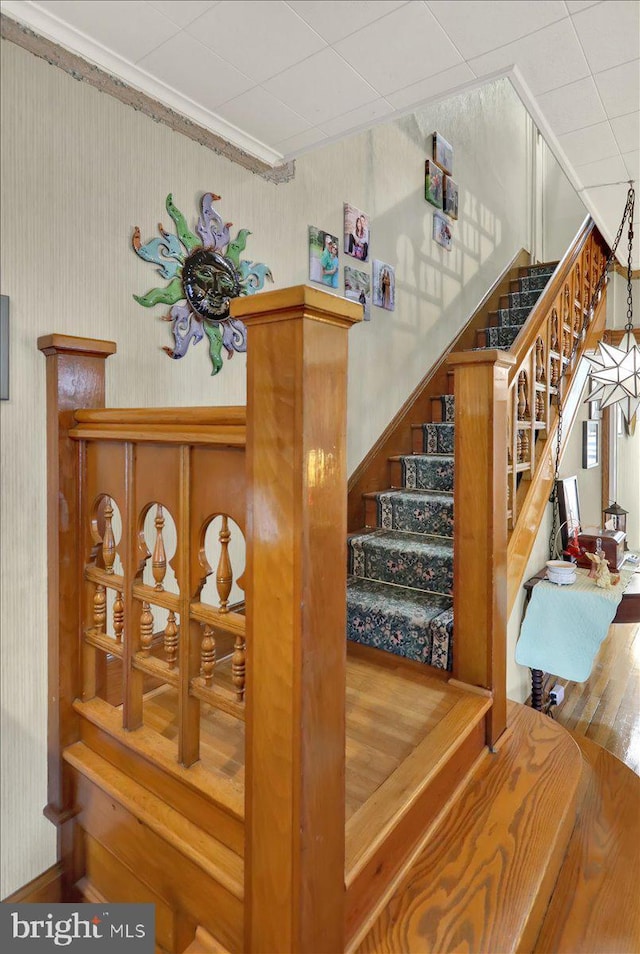 stairs featuring wood-type flooring