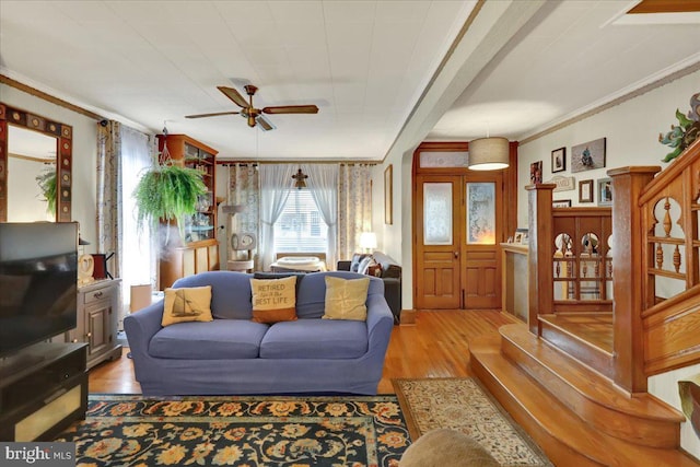 living room featuring ornamental molding, ceiling fan, and light wood-type flooring