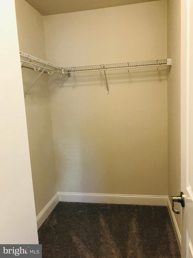 walk in closet with dark colored carpet