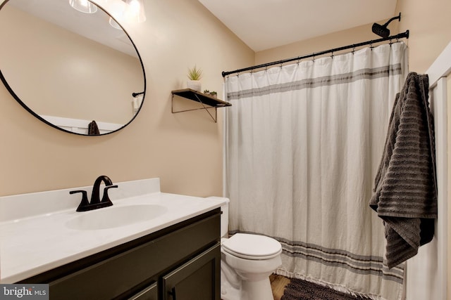 bathroom featuring vanity, toilet, and wood-type flooring