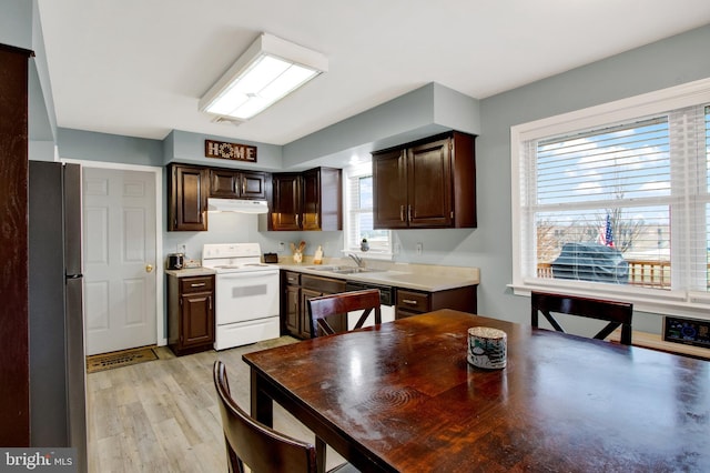 kitchen with white appliances, dark brown cabinetry, sink, and light wood-type flooring