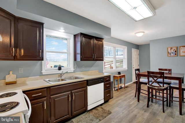 kitchen with dark brown cabinetry, sink, white appliances, and light hardwood / wood-style flooring