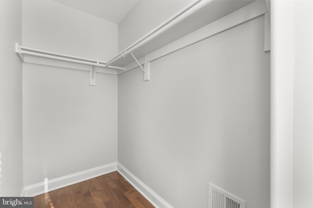 walk in closet featuring dark hardwood / wood-style floors