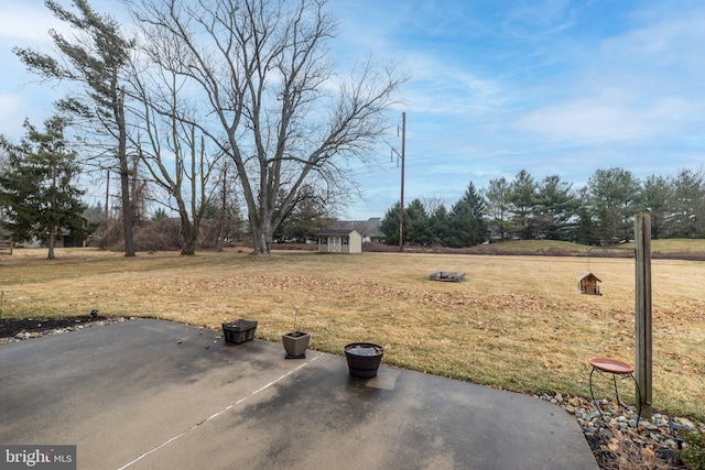 view of yard featuring a patio and a storage unit