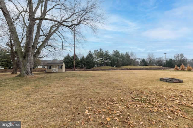 view of yard featuring a storage unit