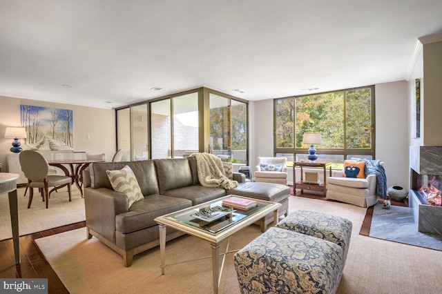 living room featuring expansive windows, crown molding, and light wood-type flooring