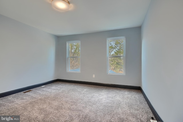 spare room featuring a wealth of natural light and carpet flooring